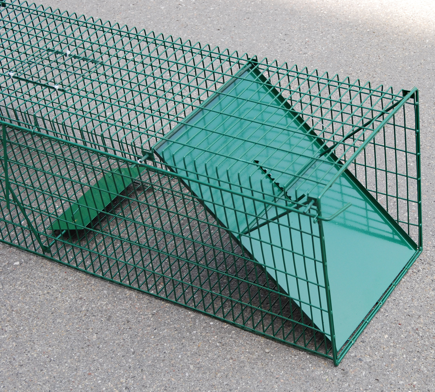 Drahtkastenfalle klein