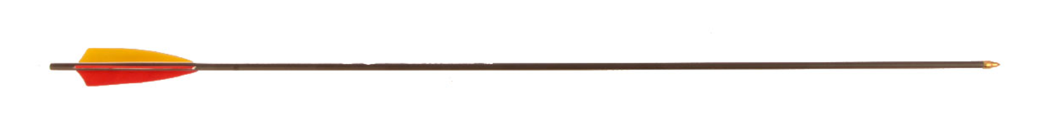 BEARPAW Carbonpfeil Penthalon Slim Line 600 medium Naturfedern