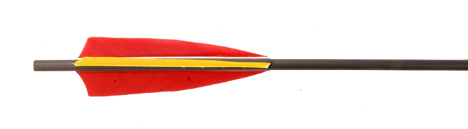 BEARPAW Carbonpfeil Penthalon Slim Line 600 medium Naturfedern