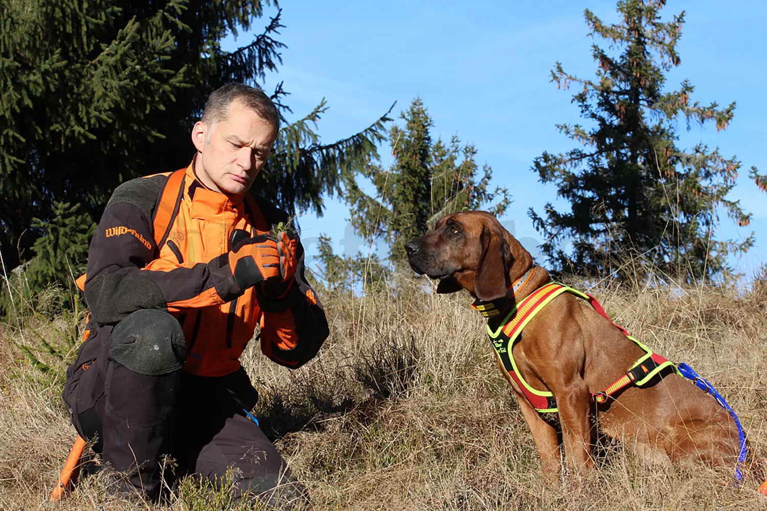 Niggeloh Führgeschirr L Follow TRAIL
