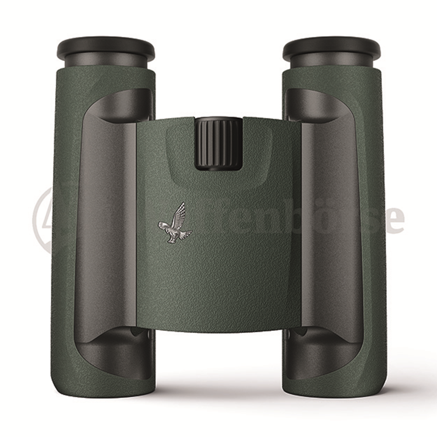 SWAROVSKI CL WN Pocket 8x25 B grün