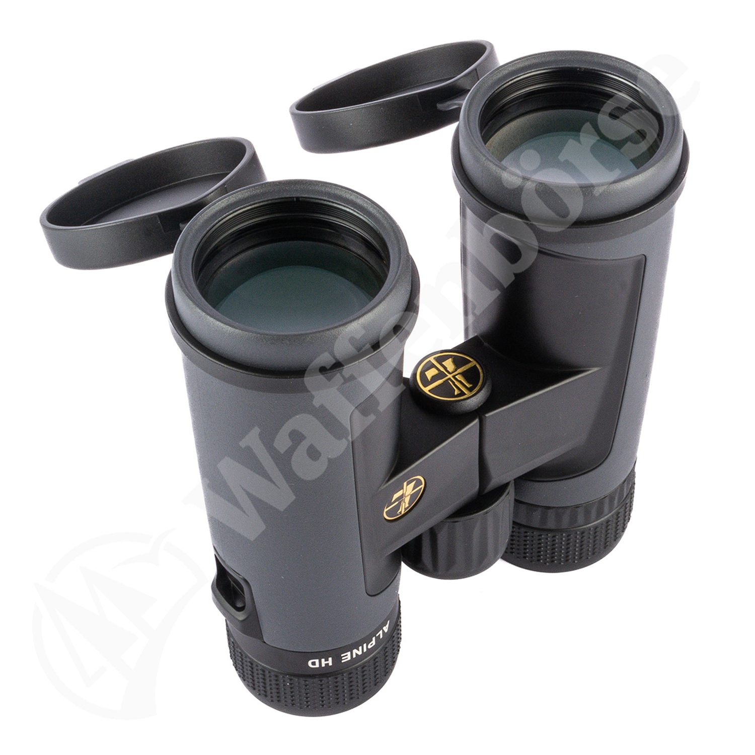 Leupold BX-2 Alpine 10x42