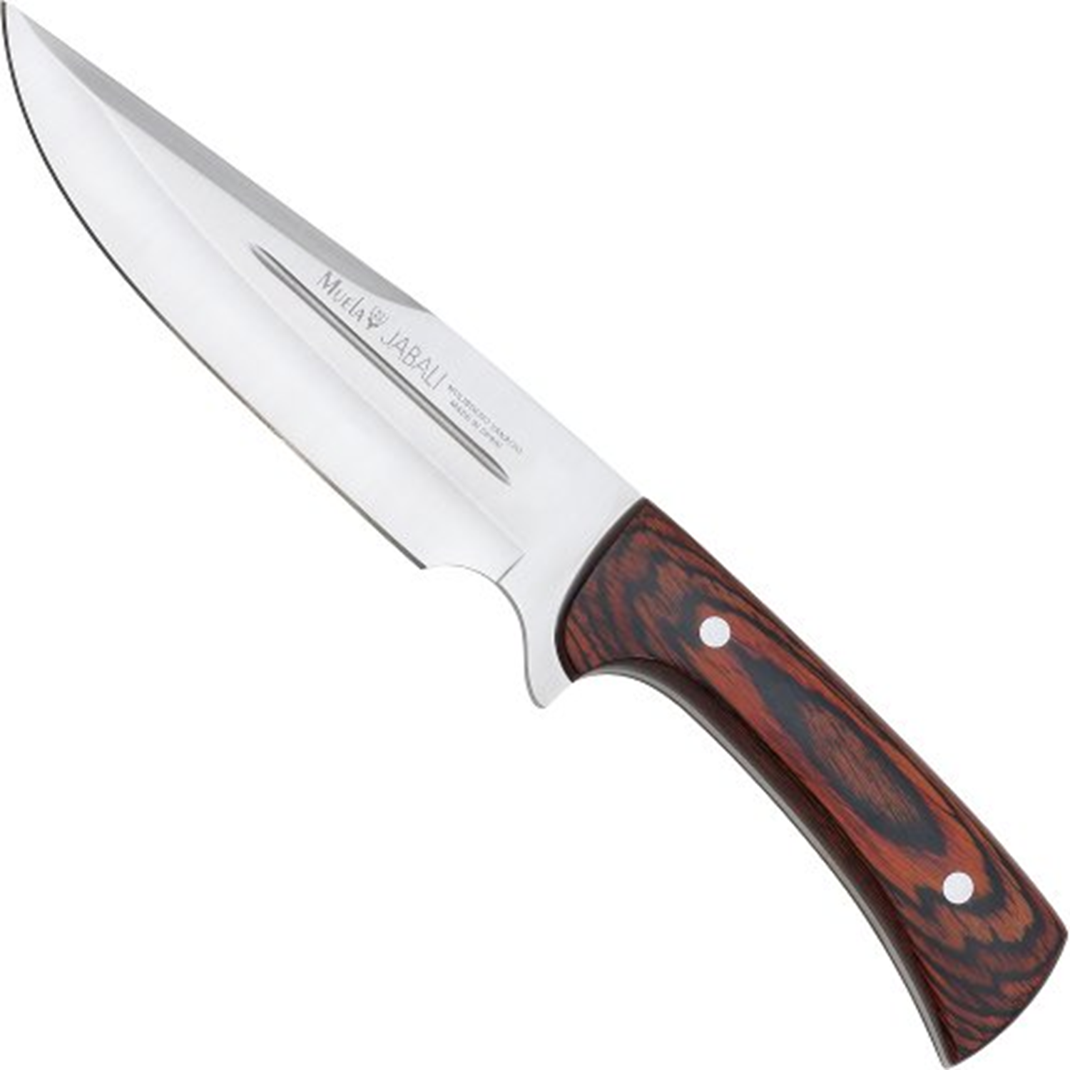 Muela Jabali Bowie Pakkaholz