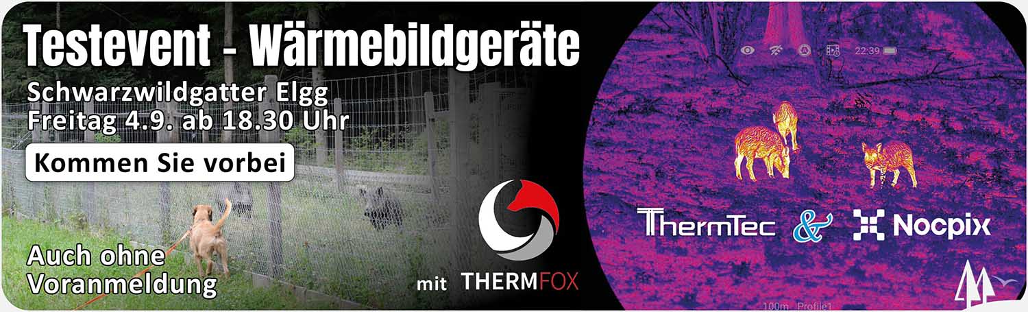 Schwarzwildgatter