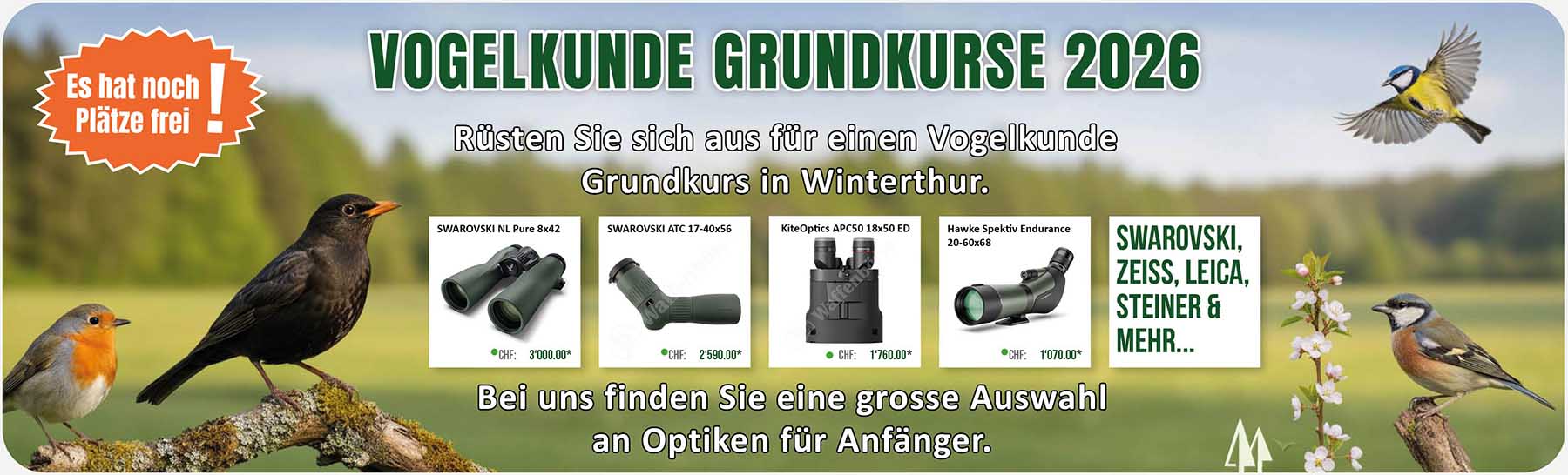 Vogelkunde Grundkurs